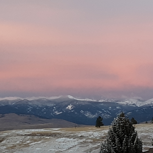 Meet your Posher, Larry - Picture 2 of 9